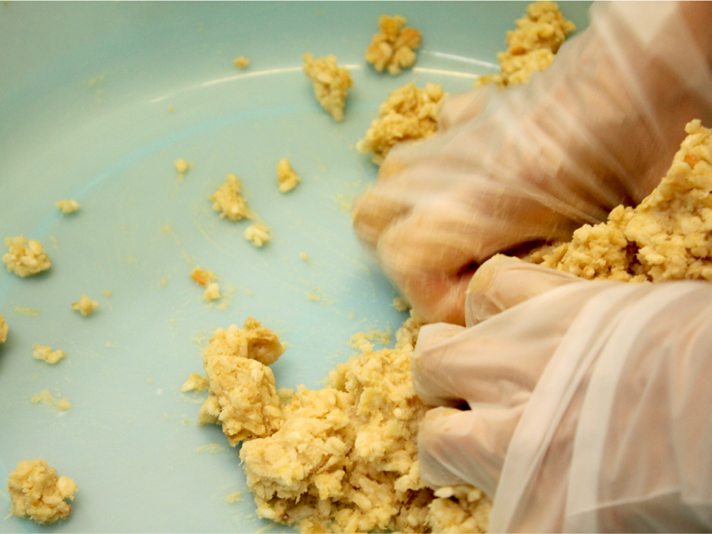 ワークショップ写真