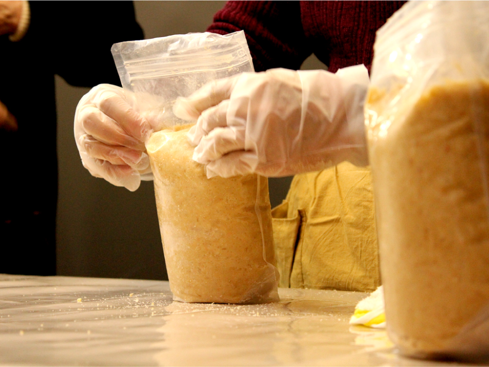 ワークショップ写真